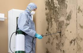 Best Real Estate Mold Inspection in Mount Hermon, CA